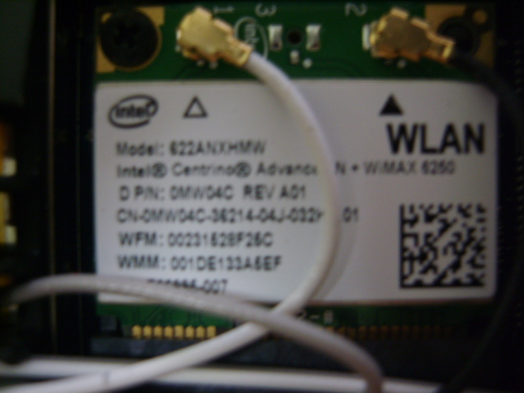 S8000118.JPG